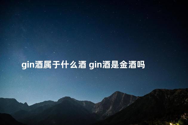 gin酒属于什么酒 gin酒是金酒吗